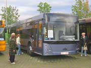 Городской автобус МАЗ-204. фото