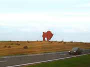 И это не Слон - это Зубр!. Фото. Картинка
