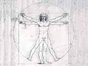 Пропорции человека - Микельанджело. Витрувианский человек.